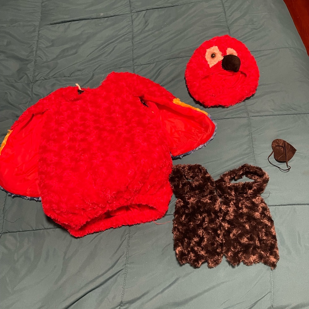 Baby underwraps parrot costume